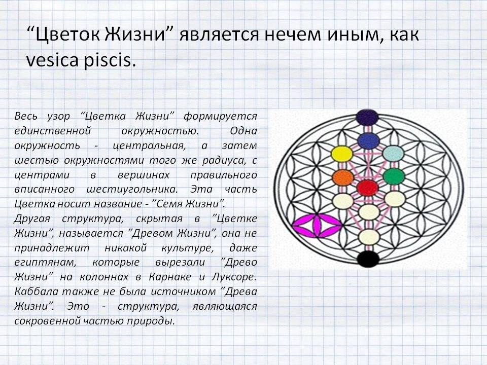 Цветок жизни