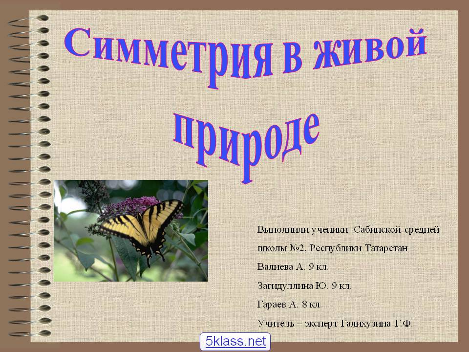 Симметрия в живой природе