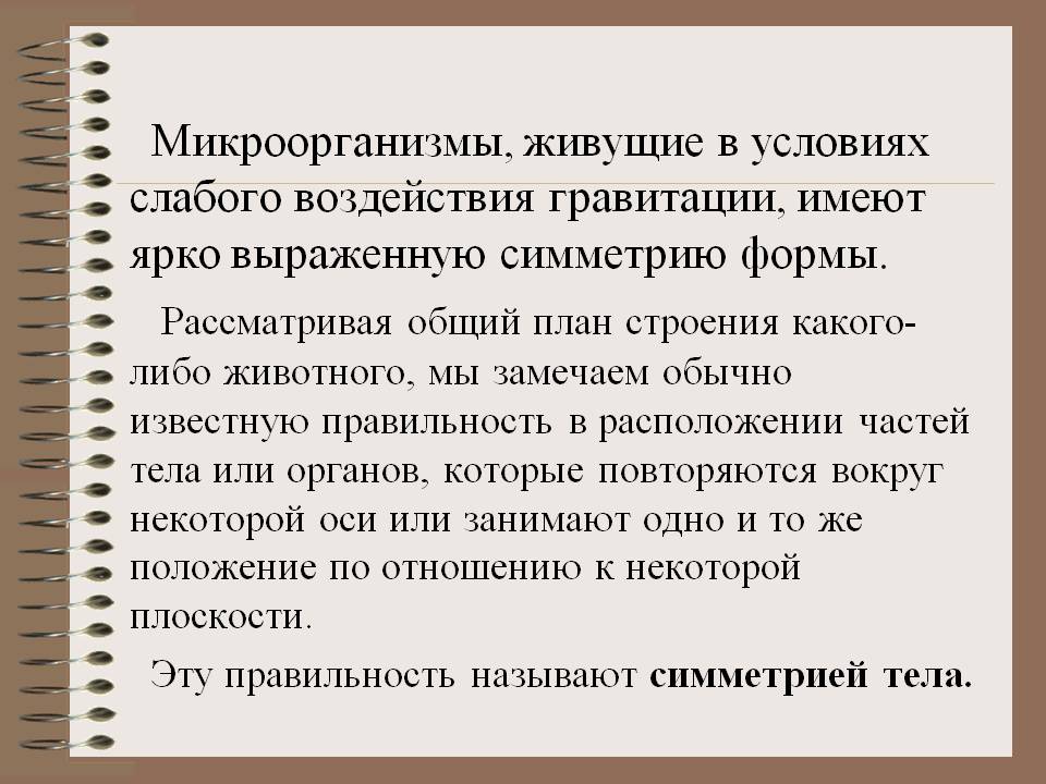 Микроорганизмы