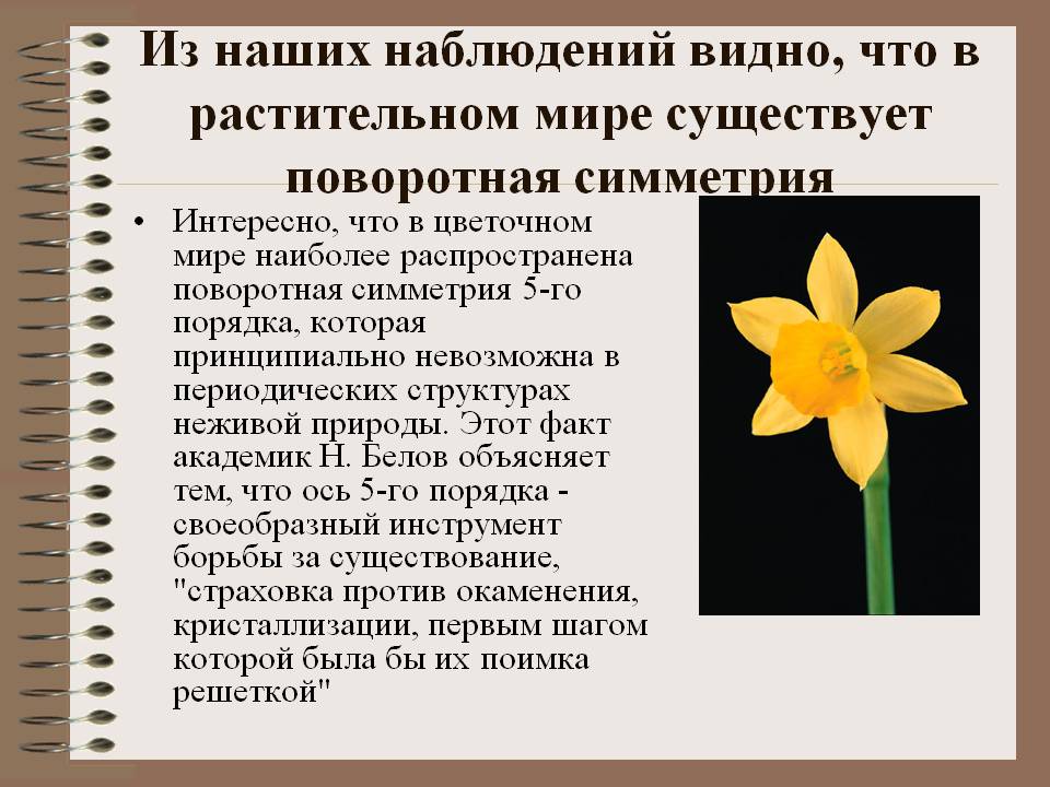 Поворотная симметрия