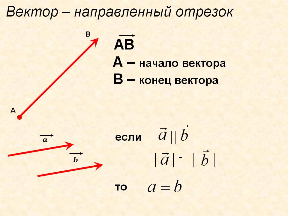 Вектор – направленный отрезок