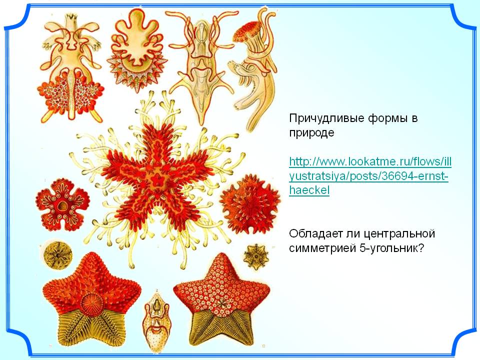Причудливые формы в природе