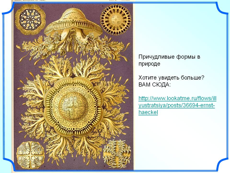 Хотите увидеть больше