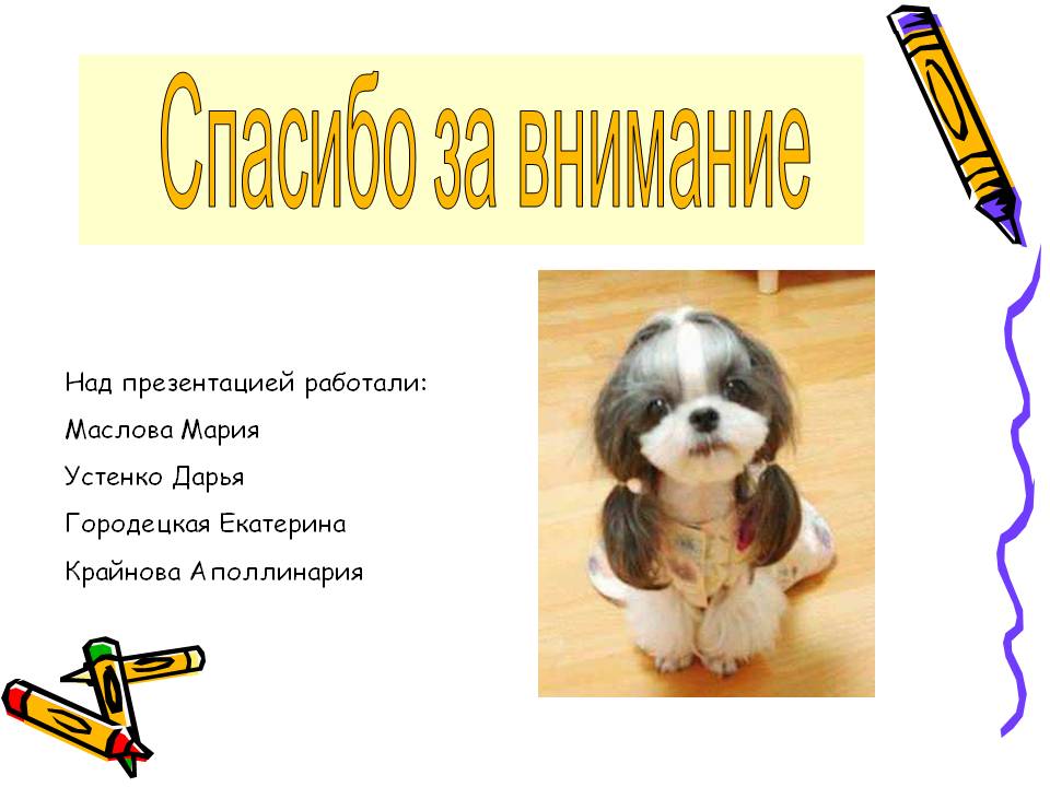 Устенко Дарья