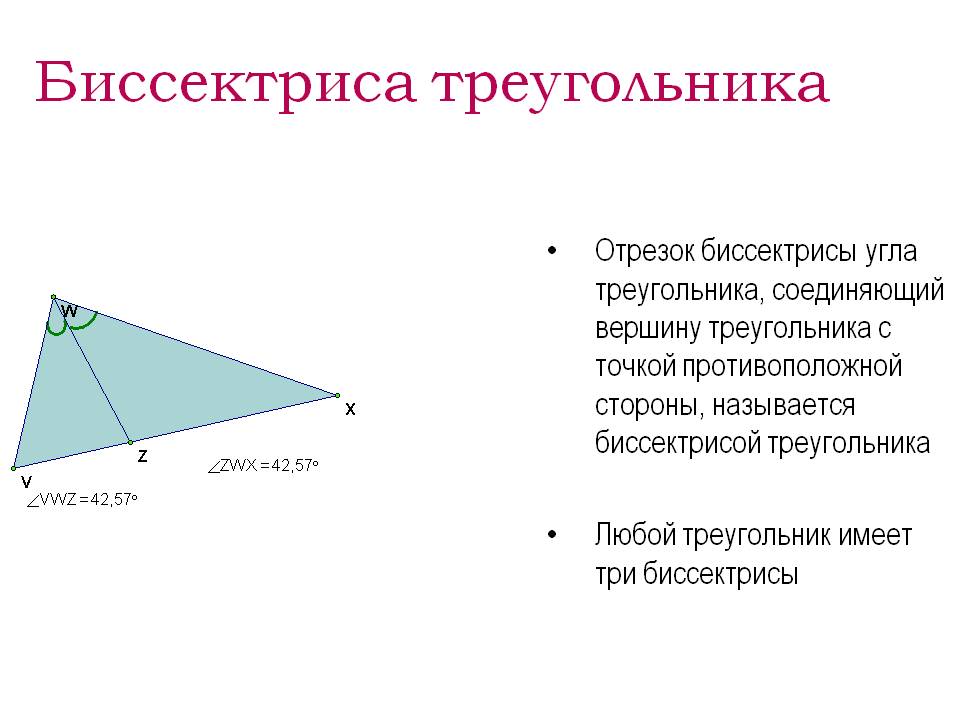 Биссектриса треугольника