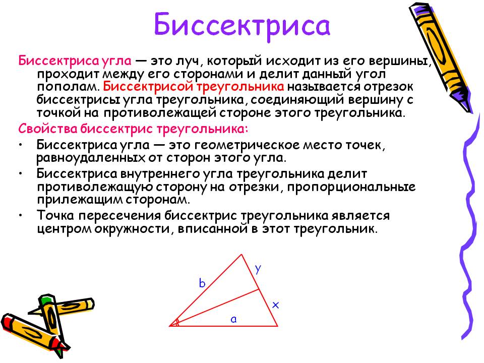 Биссектриса
