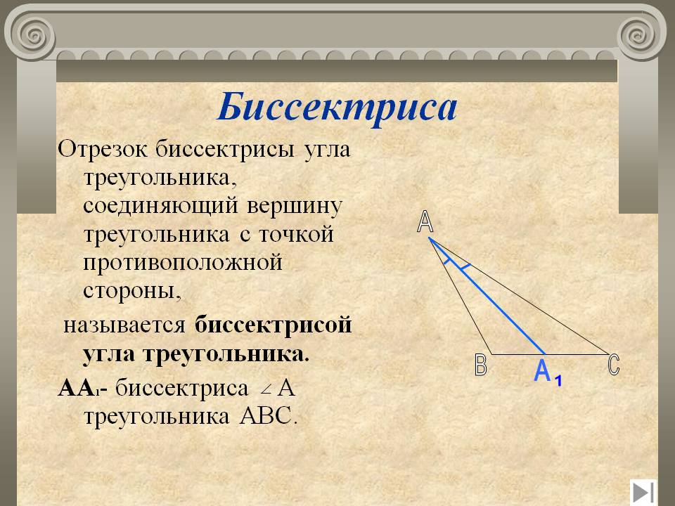 Биссектриса