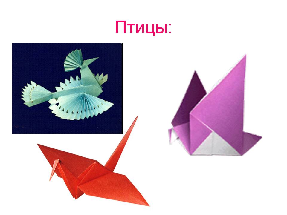 Птицы: