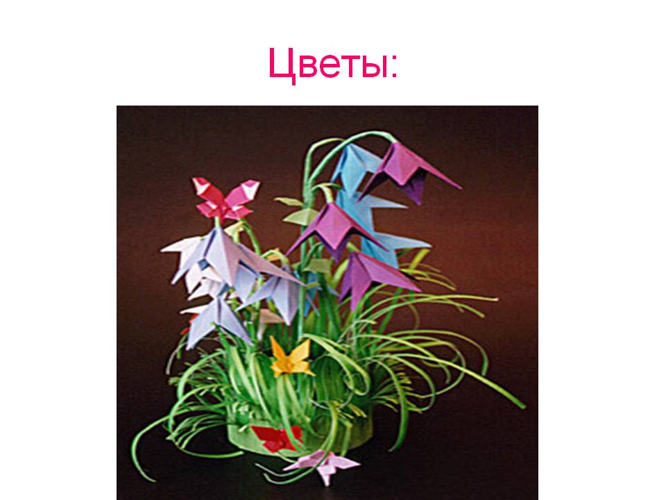 Цветы: