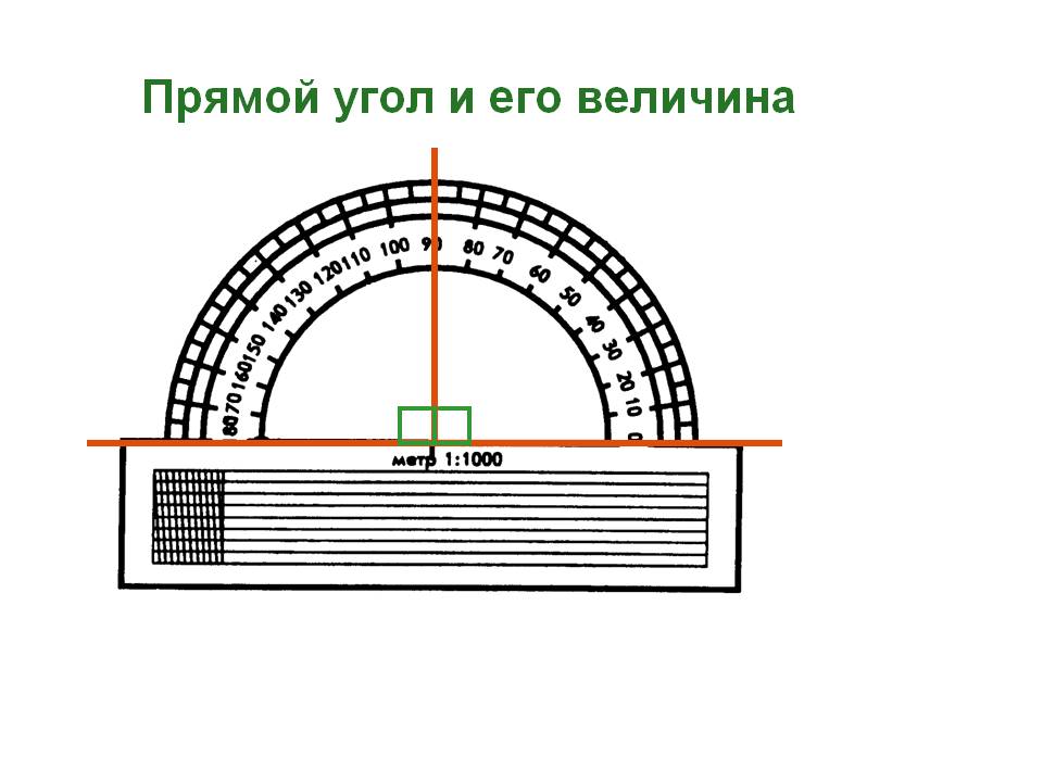 Прямой угол и его величина
