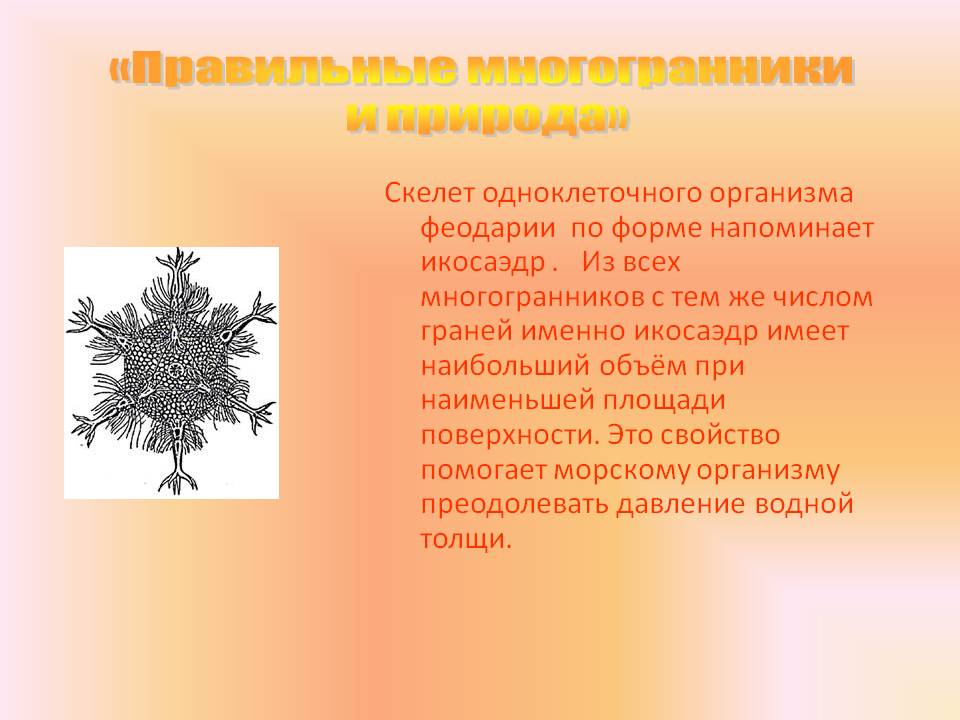 Правильные многогранники и природа