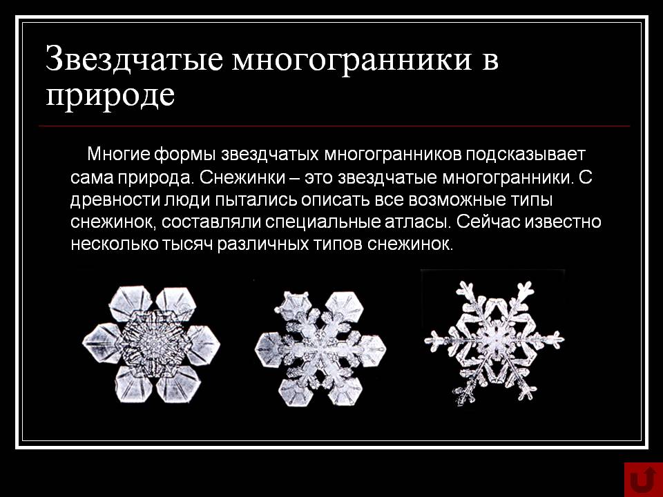Звездчатые многогранники в природе