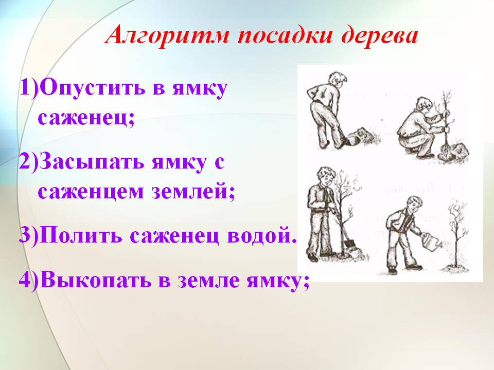 Алгоритм посадки дерева