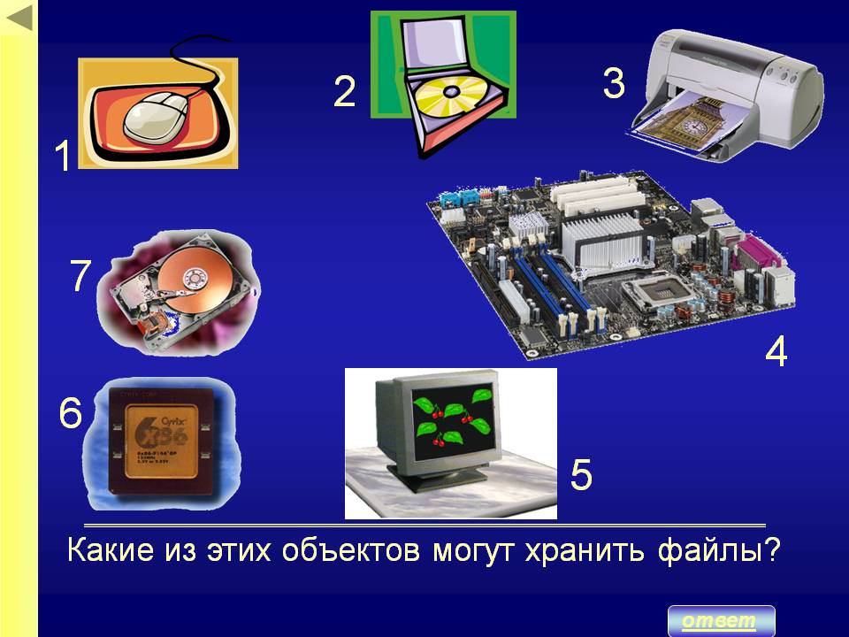 Файлы