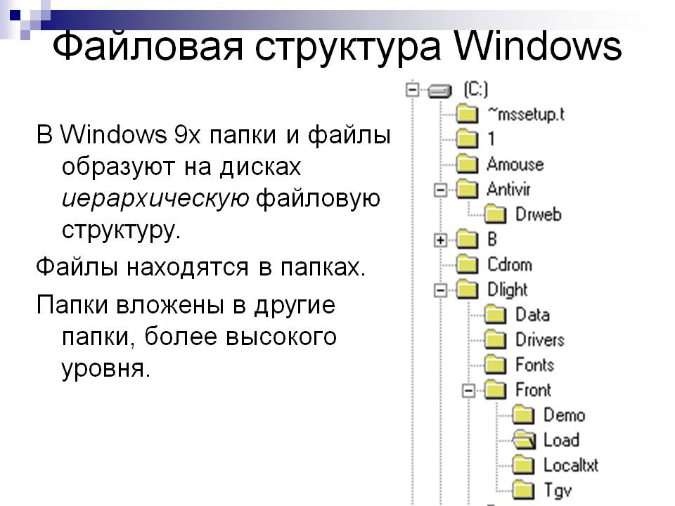 Файловая структура Windows