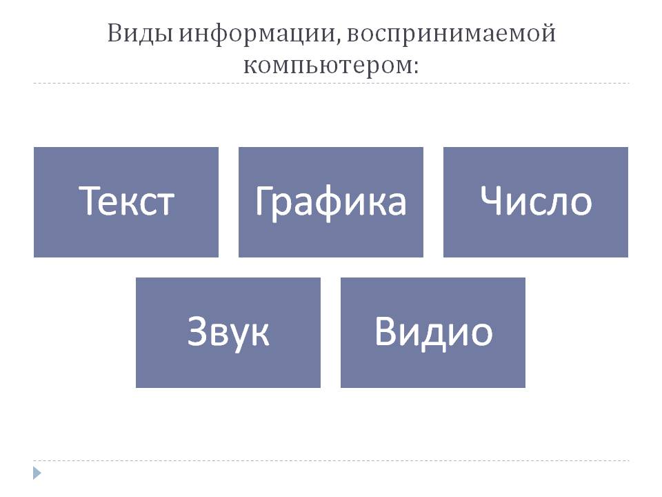 Виды информации, воспринимаемой компьютером