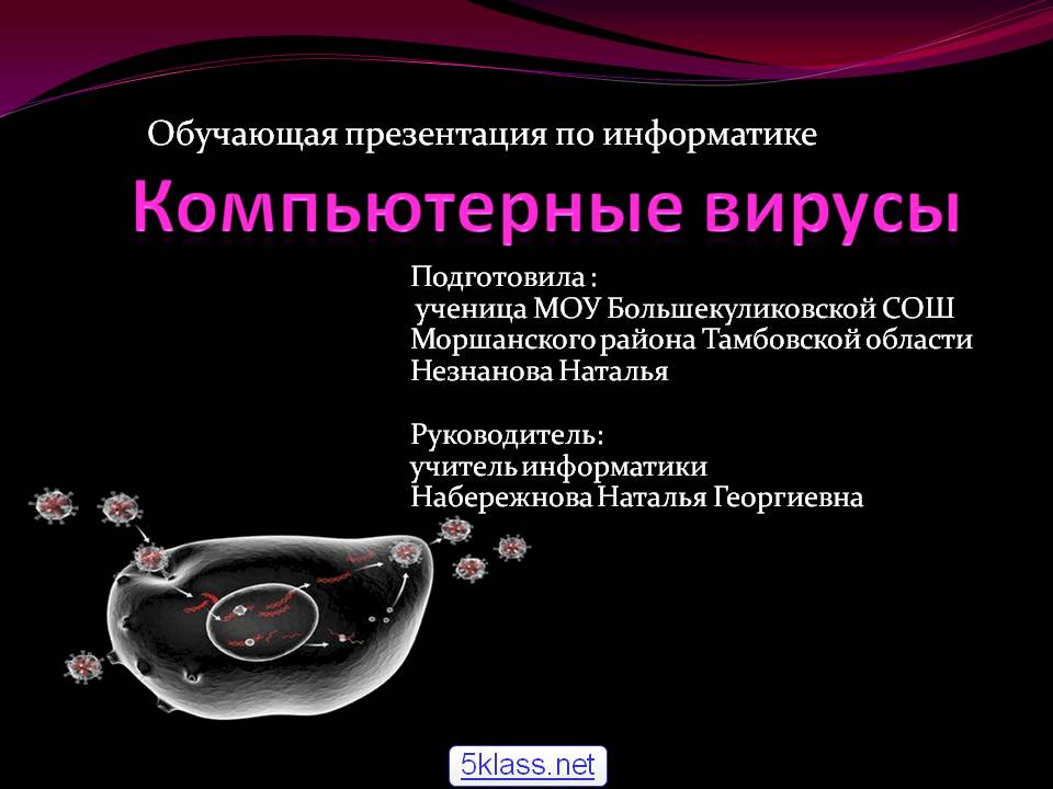 Компьютерные вирусы