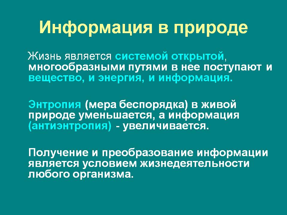 Информация в природе