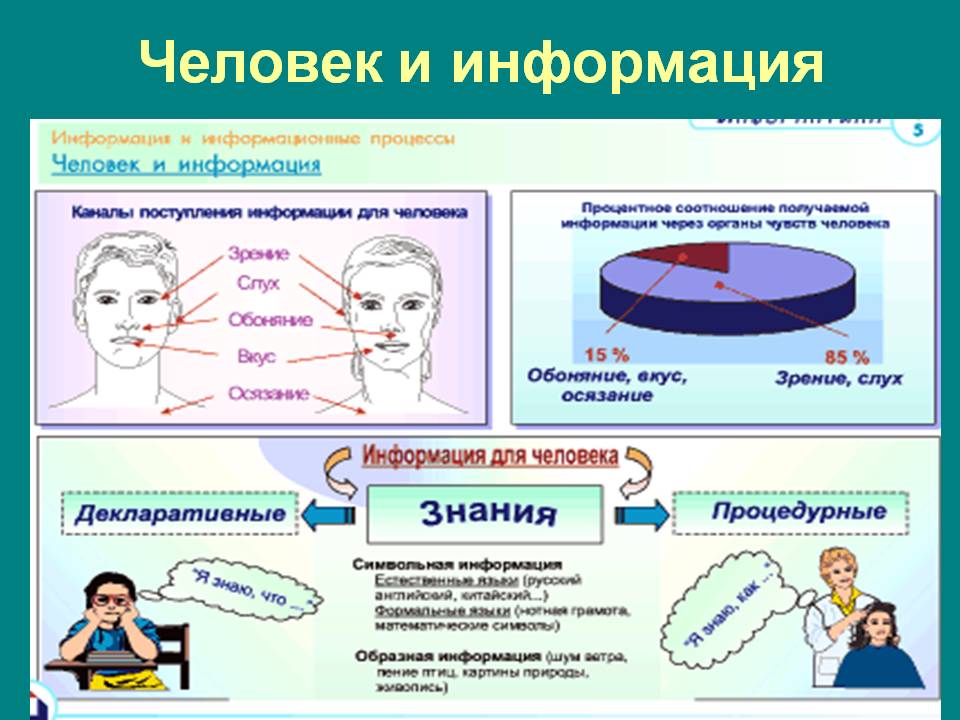 Человек и информация