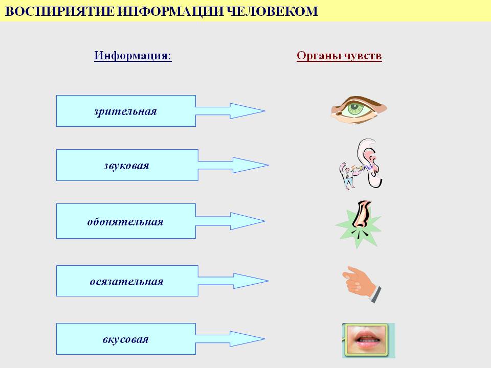 Информация: