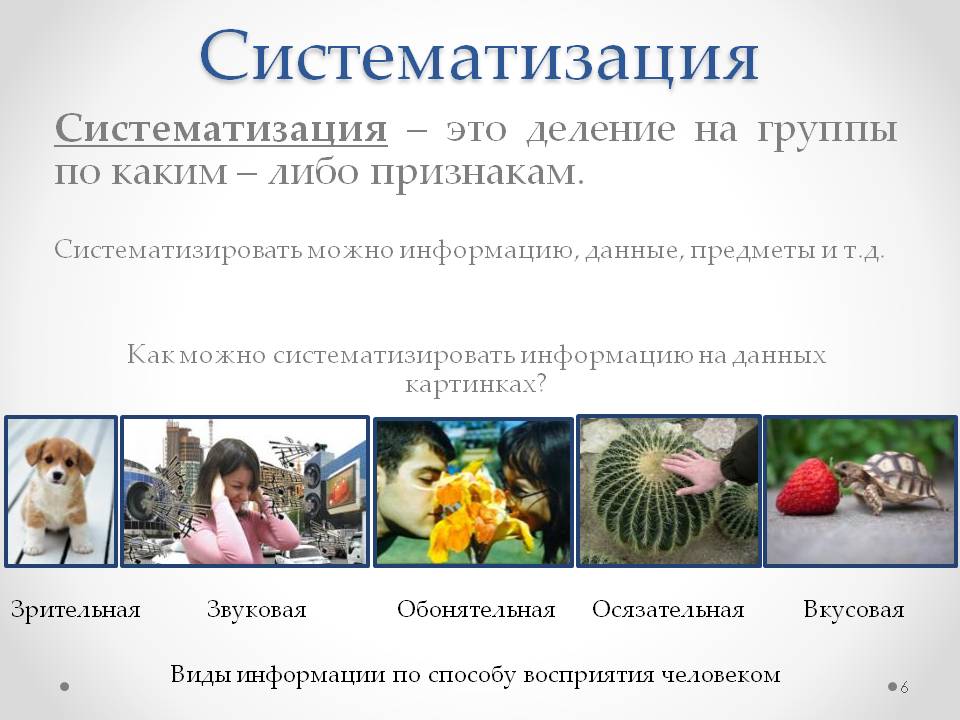 Систематизация – это деление на группы по каким – либо признакам