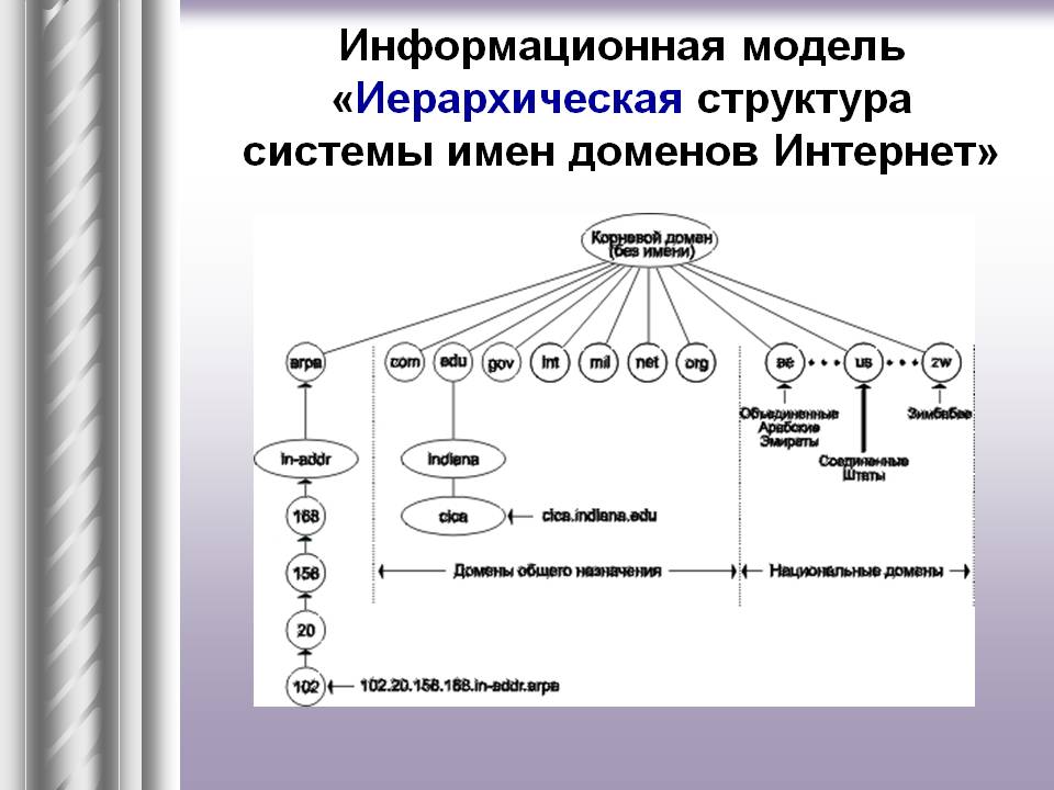 Информационная модель «Иерархическая структура системы имен доменов
