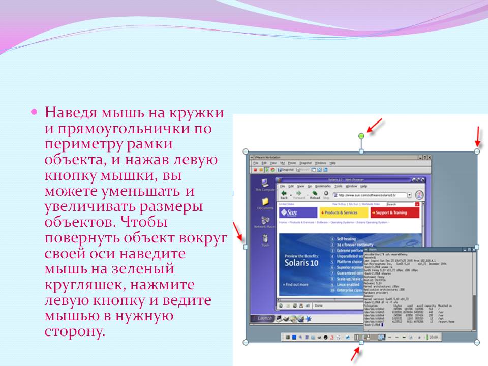 Мышь