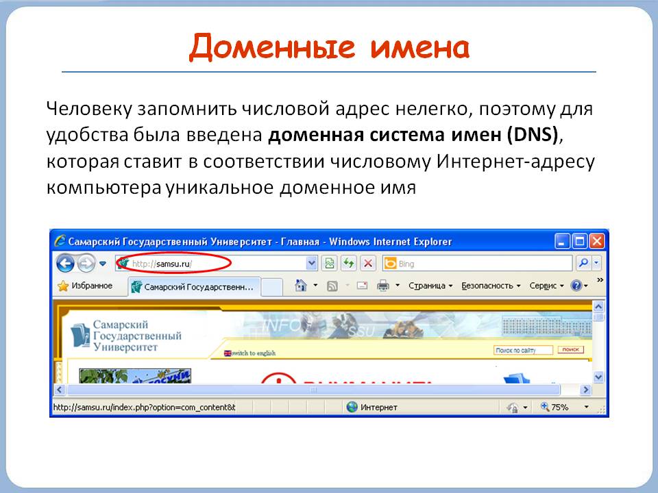 Доменные имена