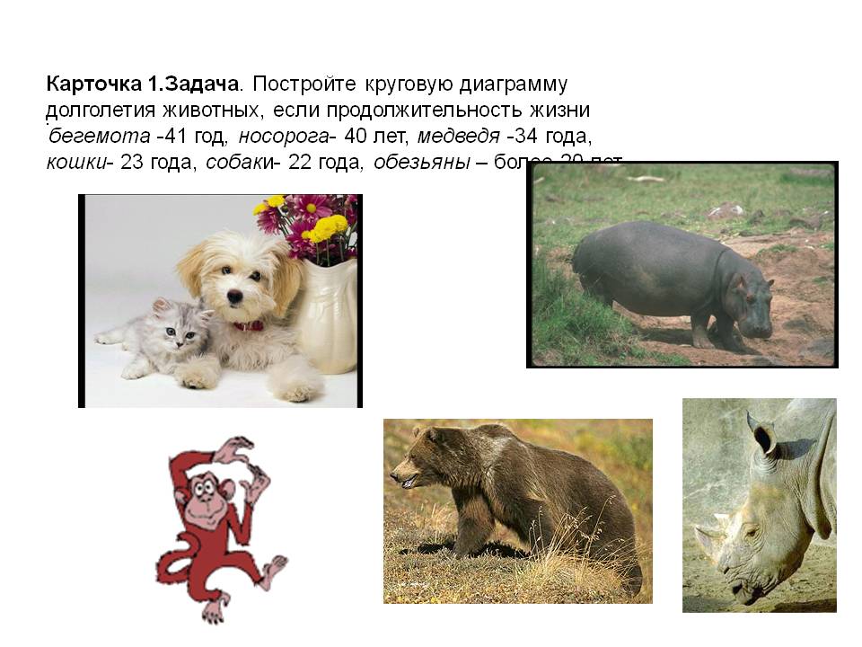 Постройте круговую диаграмму