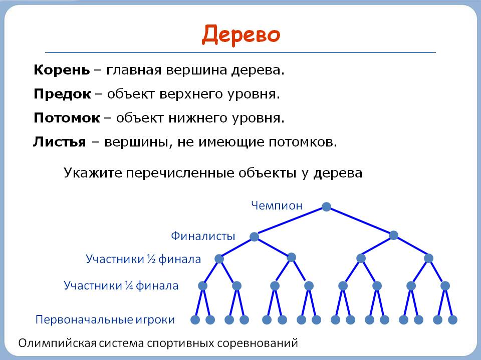 Корень