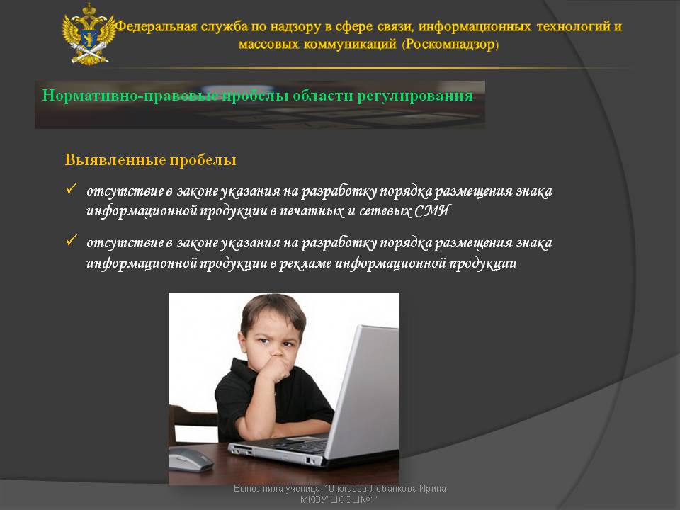 Нормативно-правовые пробелы области регулирования