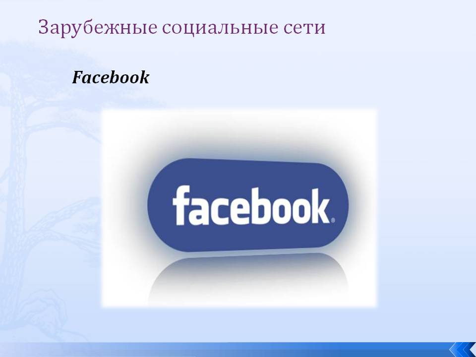 Зарубежные социальные сети