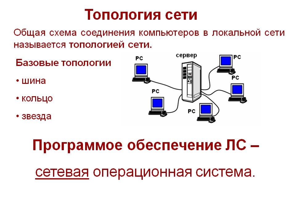 Топология сети