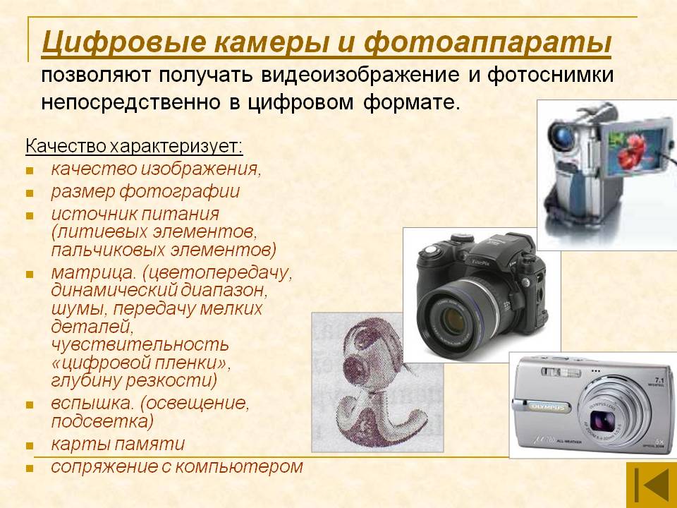 Цифровые камеры и фотоаппараты