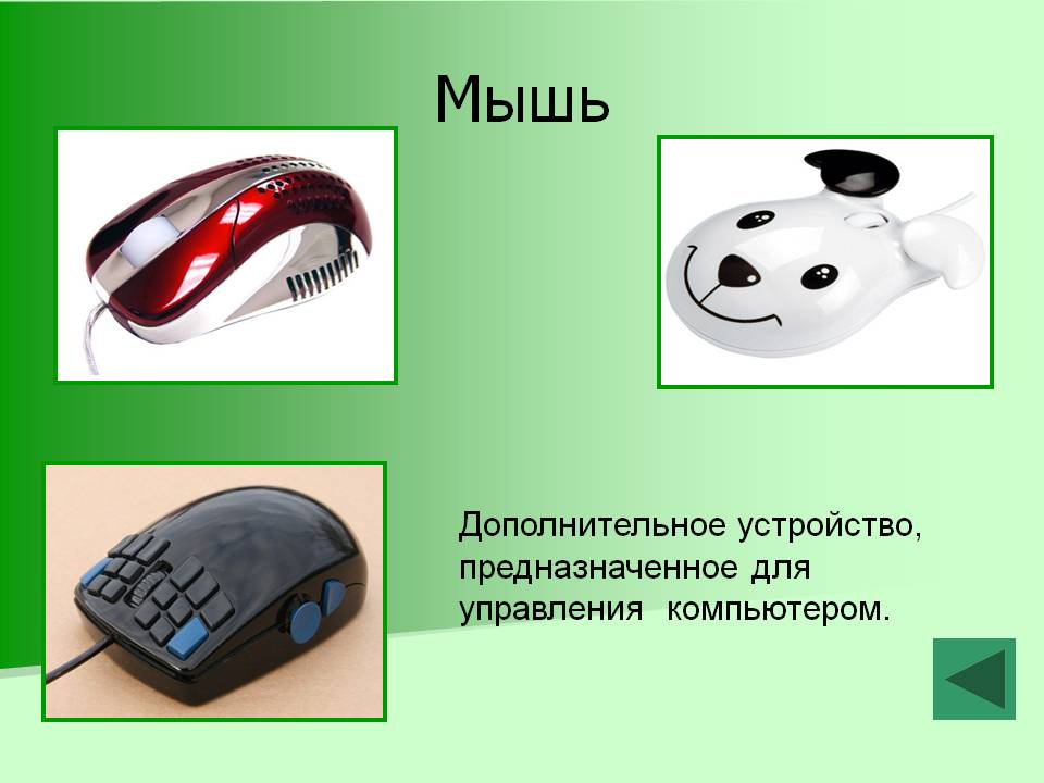 Мышь