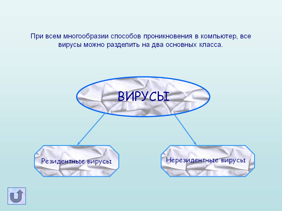 Вирусы