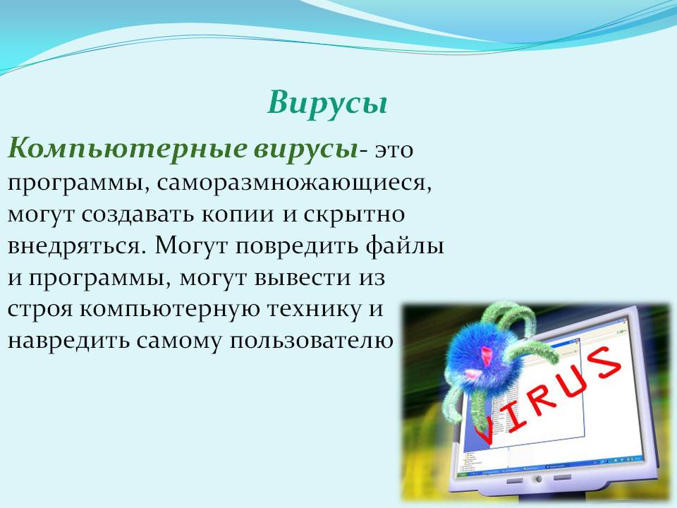 Вирусы