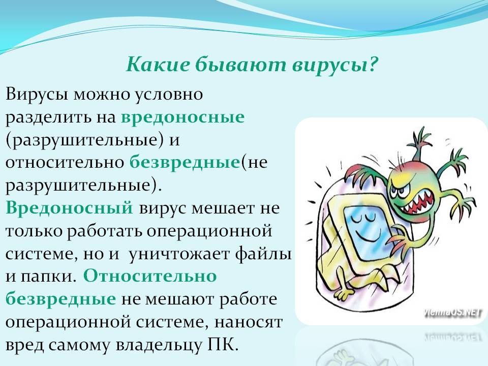 Какие бывают вирусы