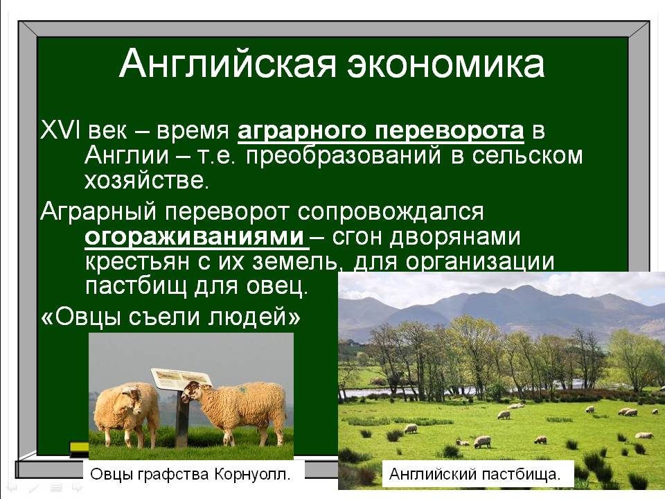 XVI век – время аграрного переворота в Англии