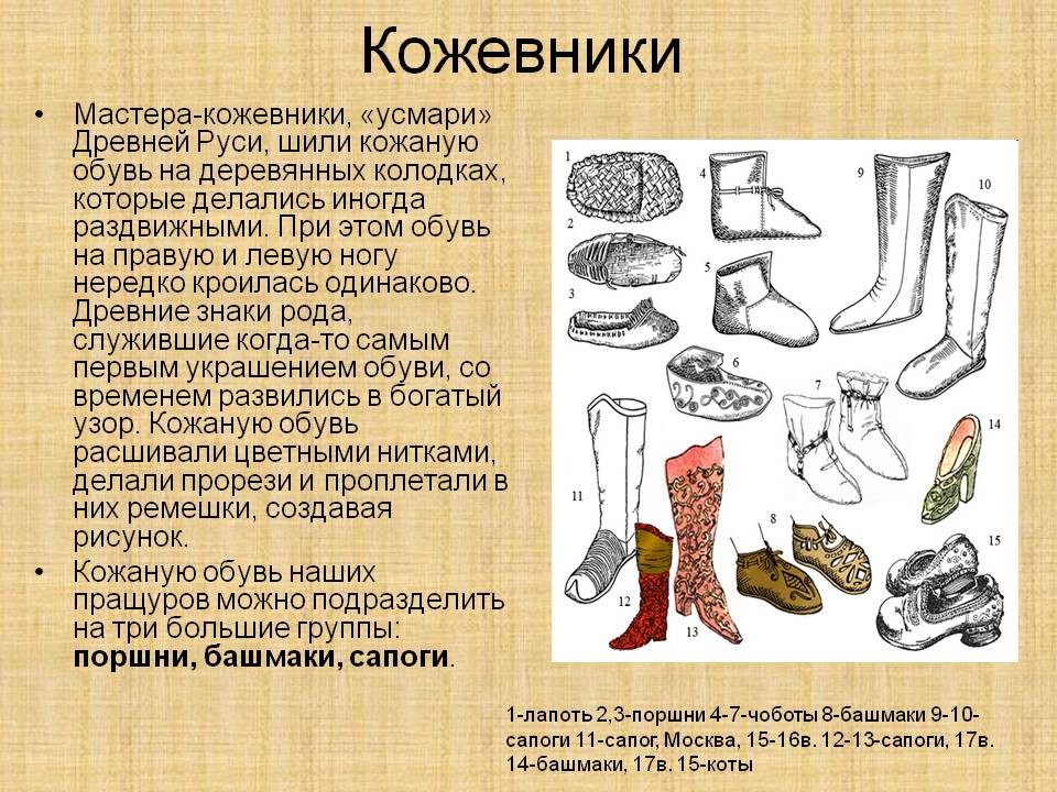 Кожевники