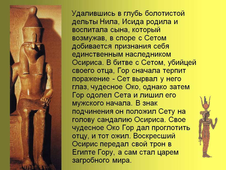 Глубь болотистой дельты Нила