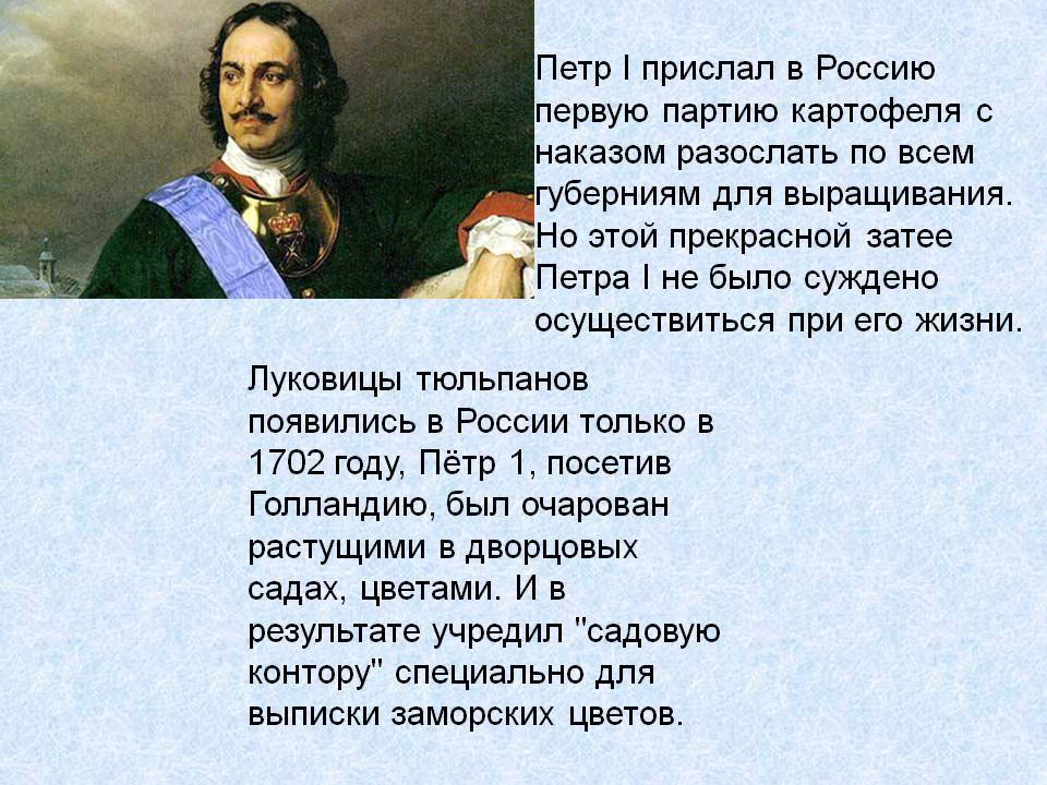 Петр I прислал в Россию первую партию картофеля