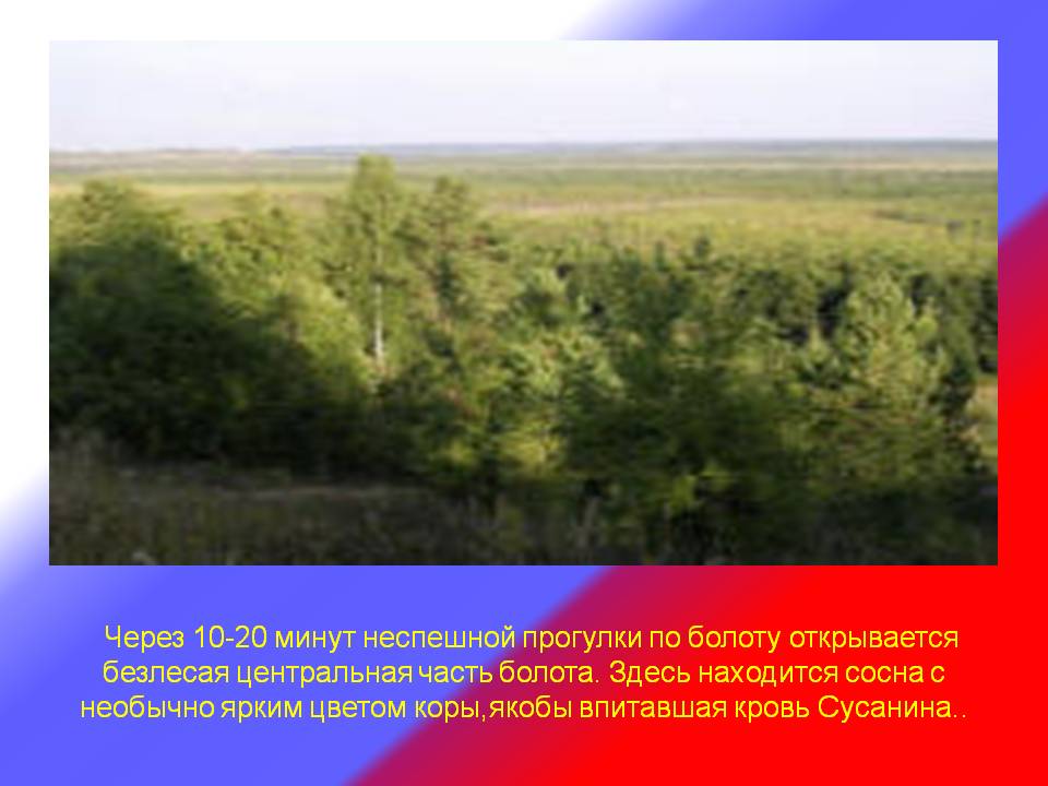 Центральная часть болота