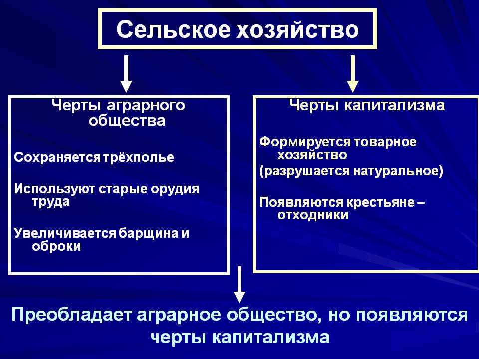 Сельское хозяйство