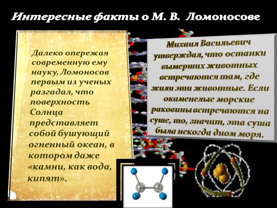 Интересные факты о М. В. Ломоносове