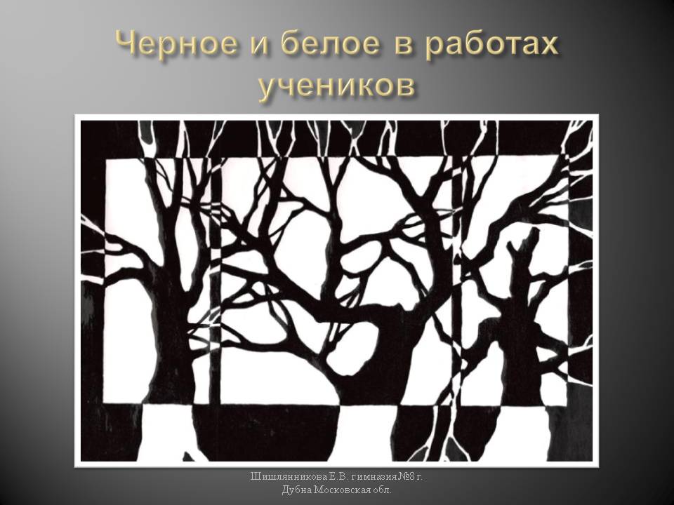 Черное и белое в работах учеников