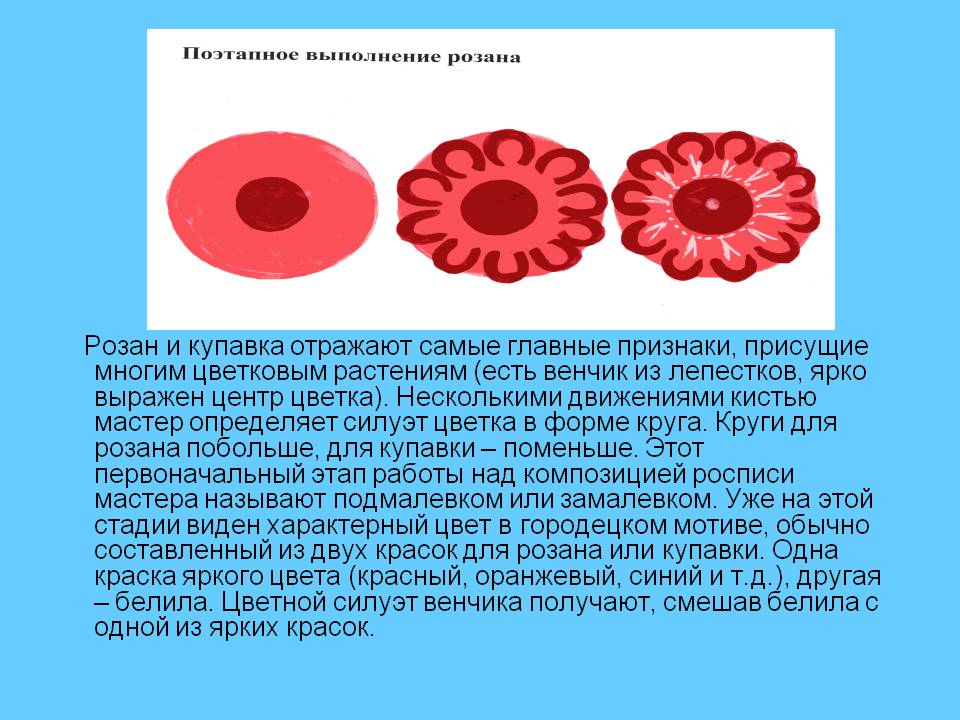 Розан и купавка отражают самые главные признаки, присущие многим