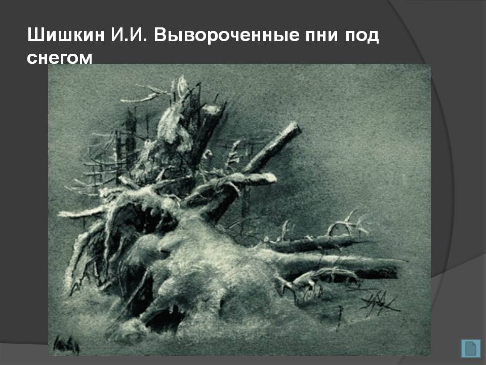Вывороченные пни под снегом