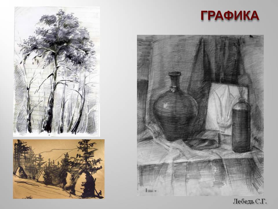 Лебедь С.Г