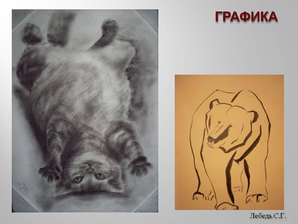 Лебедь С.Г